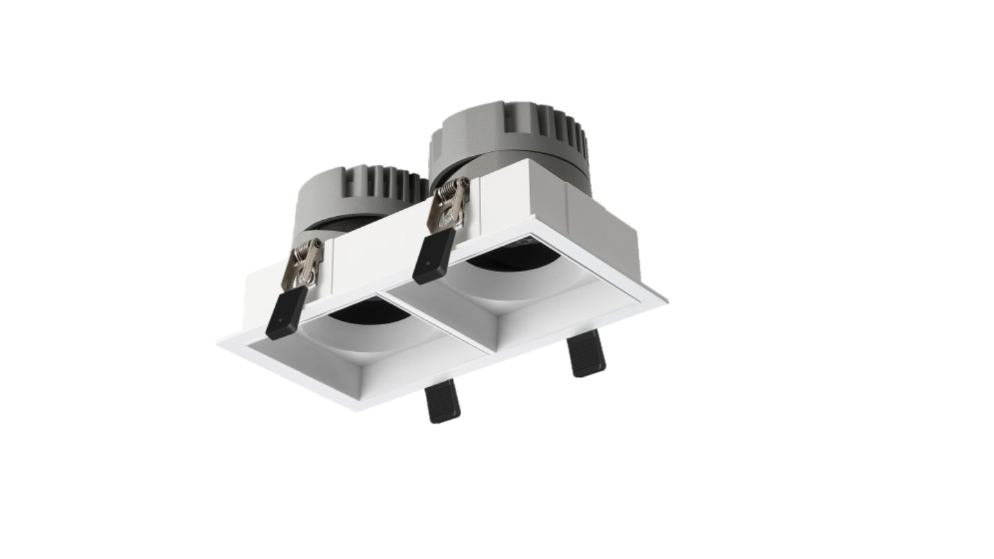 Double Head Downlight